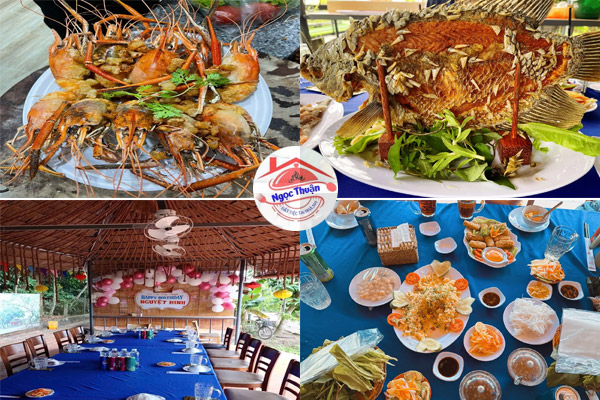 Sân vườn Thúy Nguyễn