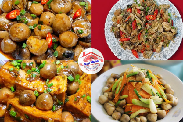 Các món chay từ nấm rơm